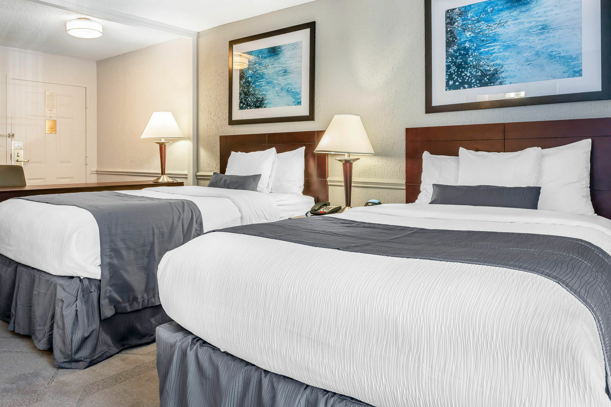 The Blu Hotel Blue Ash Cincinnati, Ascend Hotel Collection Eksteriør bilde